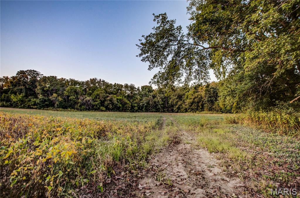 0 Possum Hill Road Worden, IL 62097 - Photo 19 of 19
