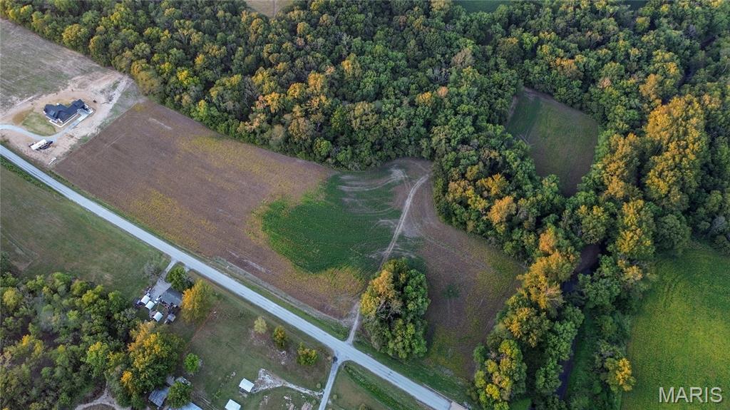 0 Possum Hill Road Worden, IL 62097 - Photo 3 of 19