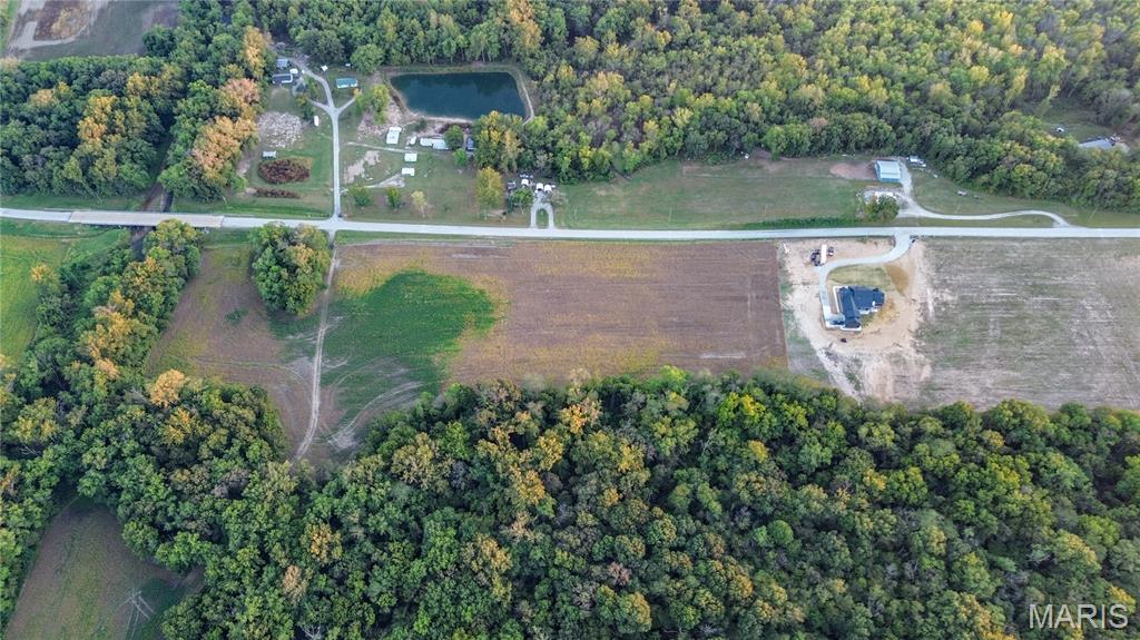 0 Possum Hill Road Worden, IL 62097 - Photo 6 of 19