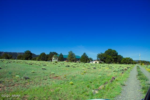 57 Valley Quemado, NM 87829 - Photo 13 of 56