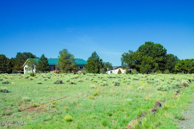 57 Valley Quemado, NM 87829 - Photo 14 of 56