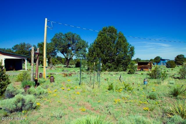 57 Valley Quemado, NM 87829 - Photo 17 of 56