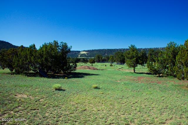 57 Valley Quemado, NM 87829 - Photo 21 of 56