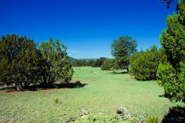 57 Valley Quemado, NM 87829 - Photo 22 of 56