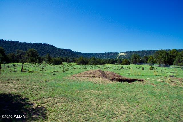 57 Valley Quemado, NM 87829 - Photo 23 of 56