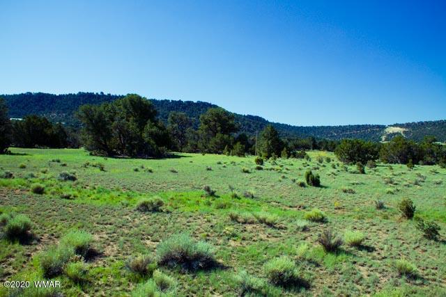 57 Valley Quemado, NM 87829 - Photo 24 of 56