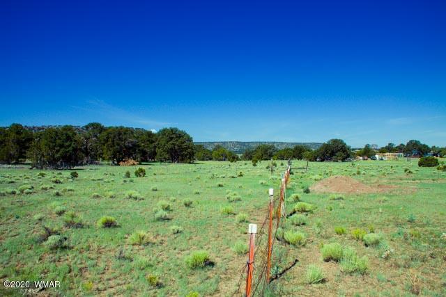 57 Valley Quemado, NM 87829 - Photo 25 of 56