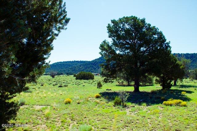 57 Valley Quemado, NM 87829 - Photo 27 of 56