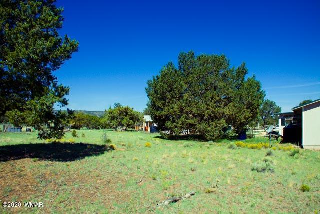 57 Valley Quemado, NM 87829 - Photo 28 of 56
