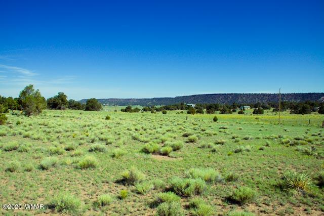 57 Valley Quemado, NM 87829 - Photo 29 of 56