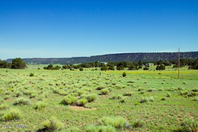 57 Valley Quemado, NM 87829 - Photo 30 of 56