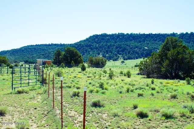 57 Valley Quemado, NM 87829 - Photo 32 of 56