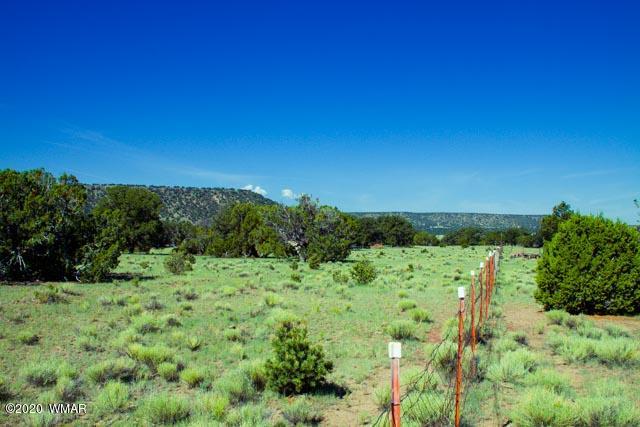 57 Valley Quemado, NM 87829 - Photo 33 of 56