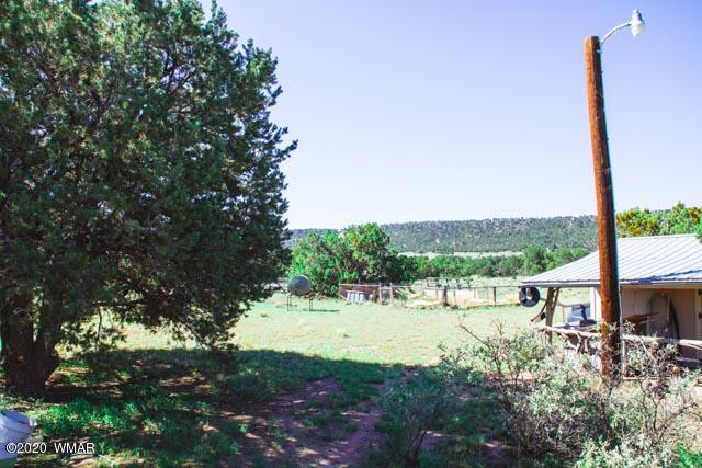 57 Valley Quemado, NM 87829 - Photo 36 of 56