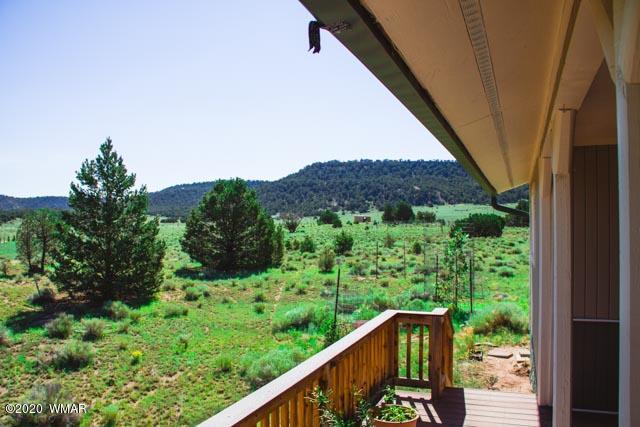 57 Valley Quemado, NM 87829 - Photo 48 of 56