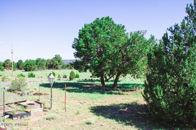 57 Valley Quemado, NM 87829 - Photo 49 of 56
