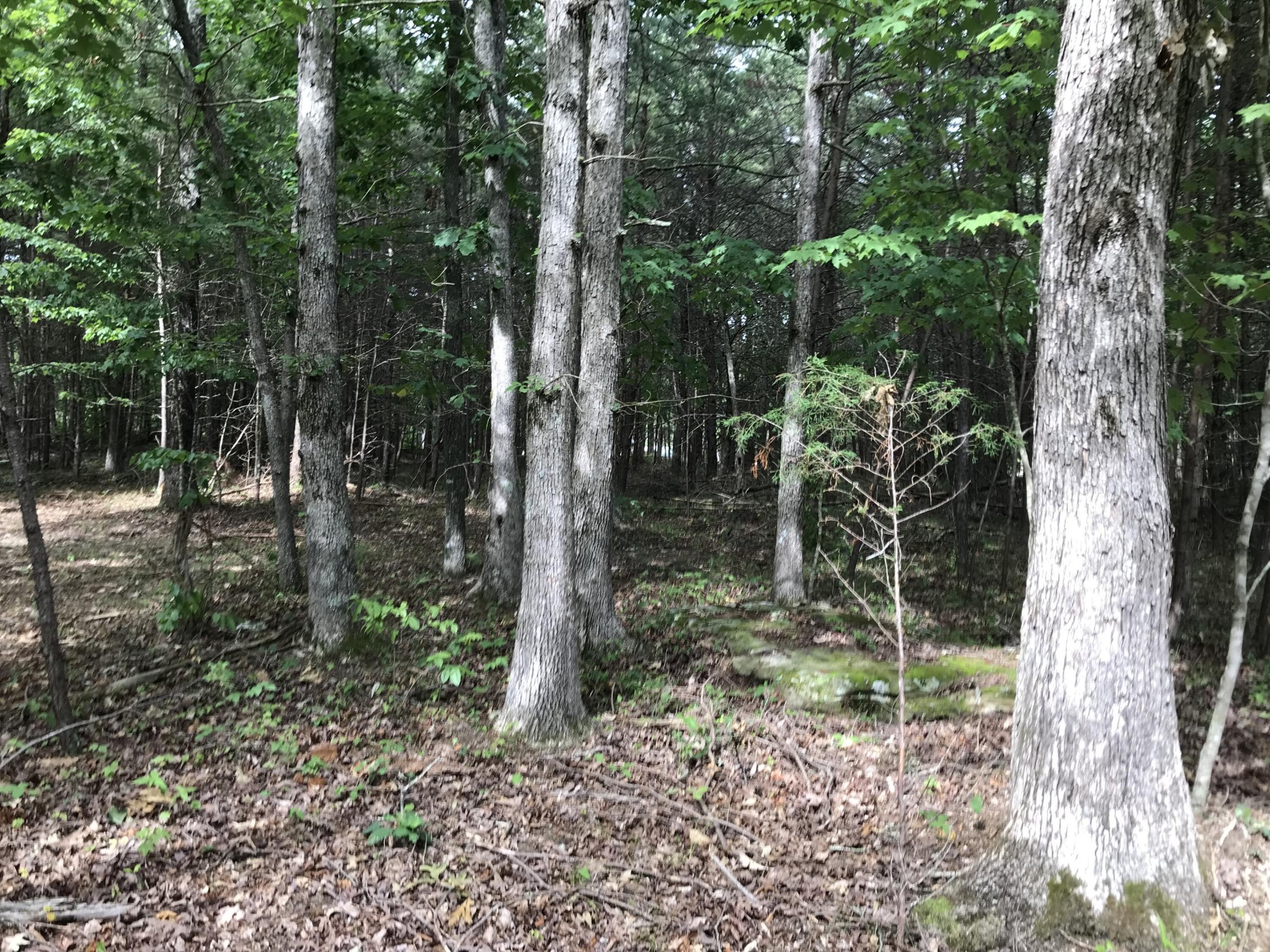 0 Quail Trail Dunlap, TN 37327 - Photo 22 of 36