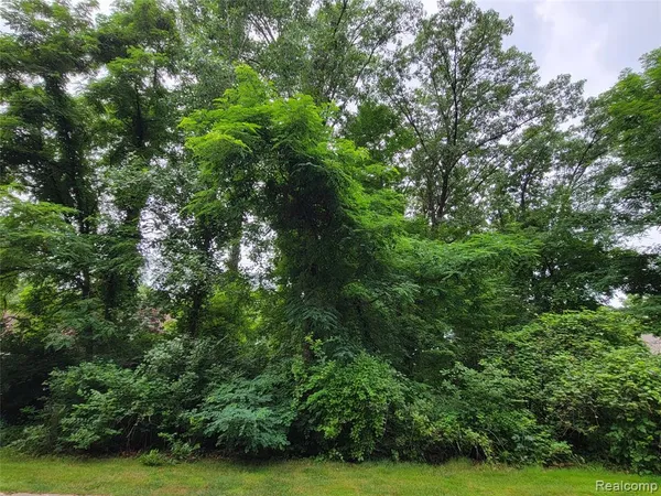 $144,900 | Lot 41 Pinemont Drive, Brighton, MI 48116