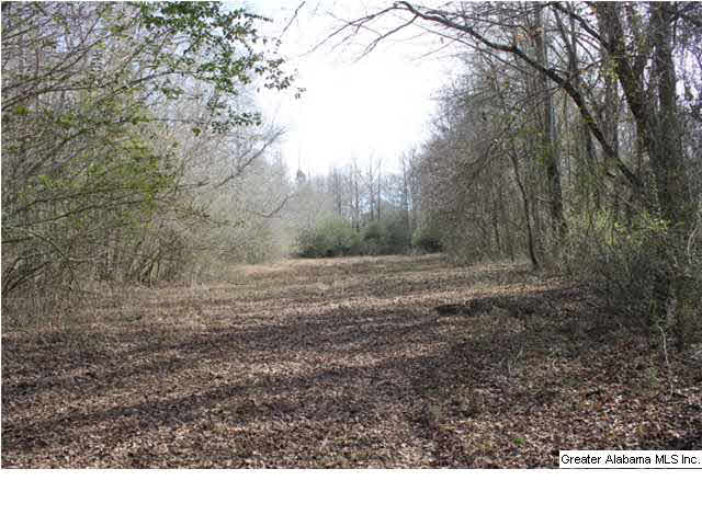 9 Highway 9, Unit 84 Lineville, AL 36266 - Photo 10 of 16