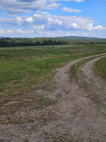 $195,000 | 52-xx Wagner Road, Springdale, WA 99173