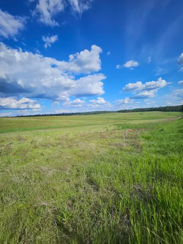 $195,000 | 52-xx Wagner Road, Springdale, WA 99173