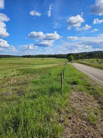 $195,000 | 52-xx Wagner Road, Springdale, WA 99173