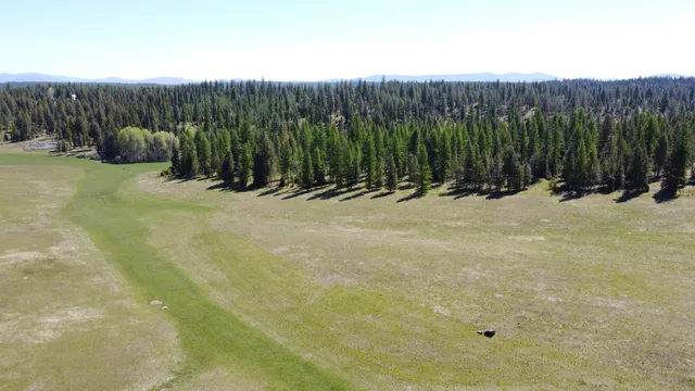 $195,000 | 52-xx Wagner Road, Springdale, WA 99173