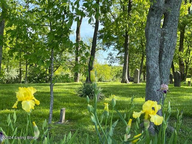 1001 Willisburg Road Lawrenceburg, KY 40342 - Photo 56 of 80 36