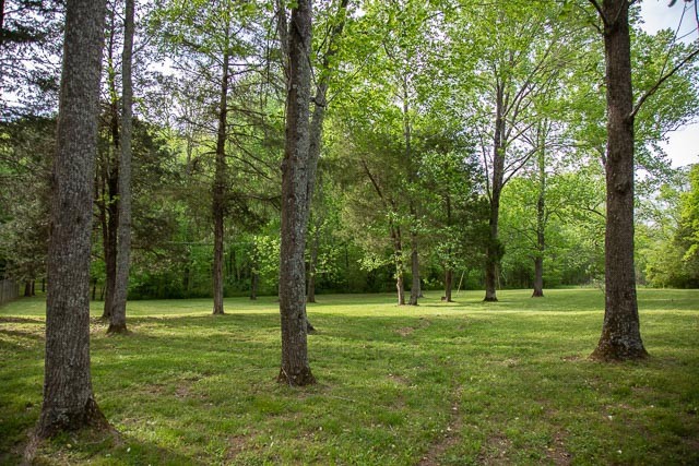 3220 Les Chappell Road Spring Hill, TN 37174 - Photo 2 of 70 a backyard of a house with lots of green space and fountain