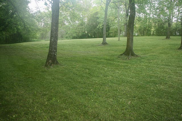 3220 Les Chappell Road Spring Hill, TN 37174 - Photo 42 of 70 a view of a field with a tree