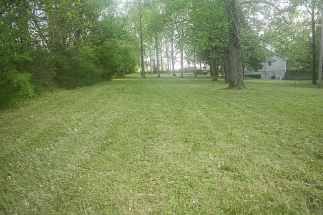 3220 Les Chappell Road Spring Hill, TN 37174 - Photo 43 of 70 a view of a field with trees in the background