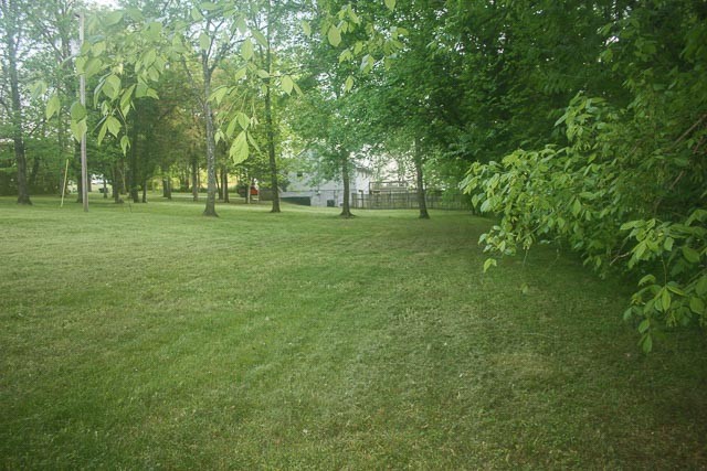 3220 Les Chappell Road Spring Hill, TN 37174 - Photo 45 of 70 a view of outdoor space with green field and trees