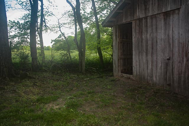 3220 Les Chappell Road Spring Hill, TN 37174 - Photo 51 of 70 a view of a backyard