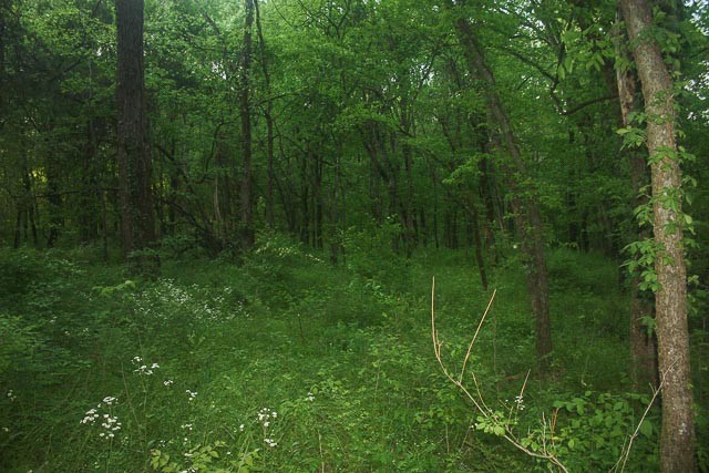 3220 Les Chappell Road Spring Hill, TN 37174 - Photo 63 of 70