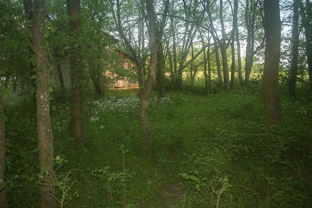 3220 Les Chappell Road Spring Hill, TN 37174 - Photo 65 of 70 a view of backyard with green space