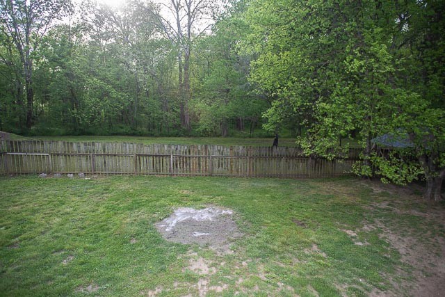 3220 Les Chappell Road Spring Hill, TN 37174 - Photo 70 of 70 a view of a yard with a fence and trees