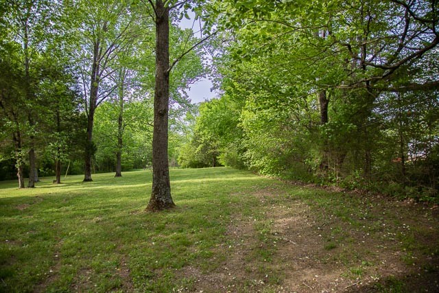 3220 Les Chappell Road Spring Hill, TN 37174 - Photo 8 of 70 a view of a grassy field with trees