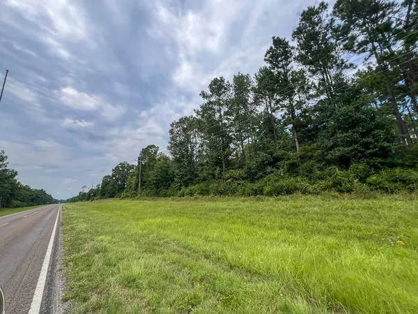 a view of a grassy field with trees in the background