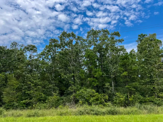 a view of a large yard with lots of green space