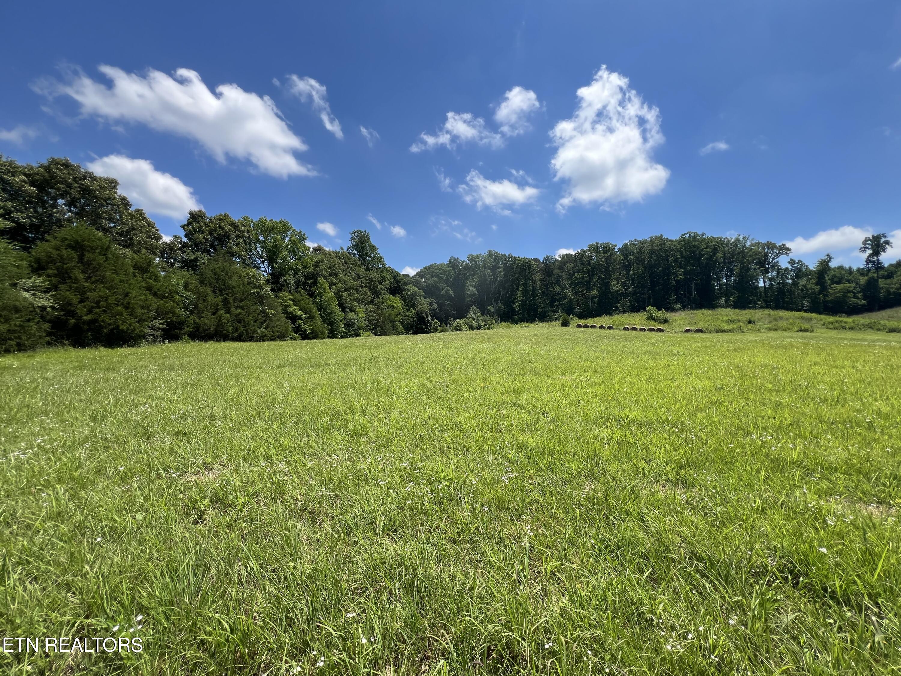 757 County Road 757 Riceville, TN 37370 - Photo 5 of 24 IMG_9168