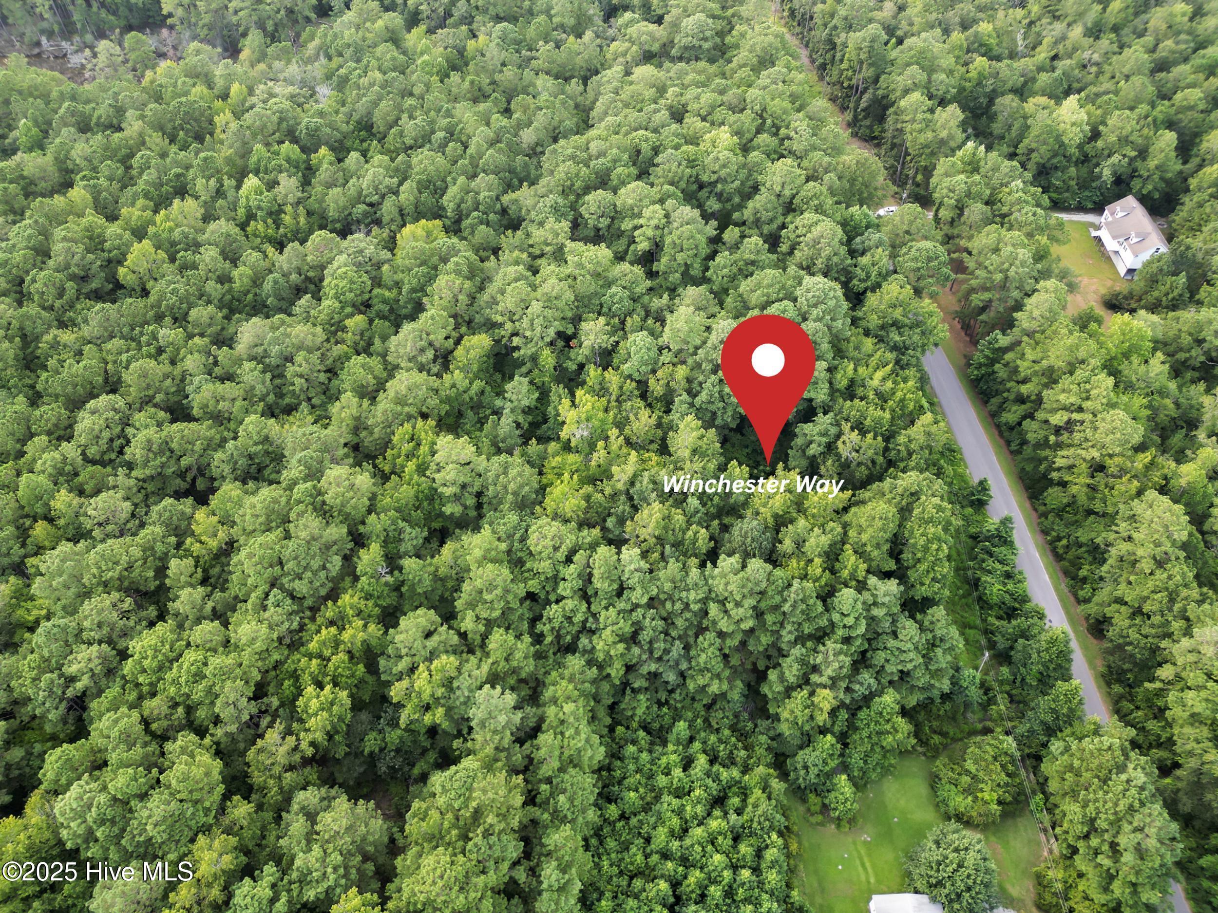 1 Winchester Way Merritt, NC 28556 - Photo 11 of 13 11_your paragraph text (3).png