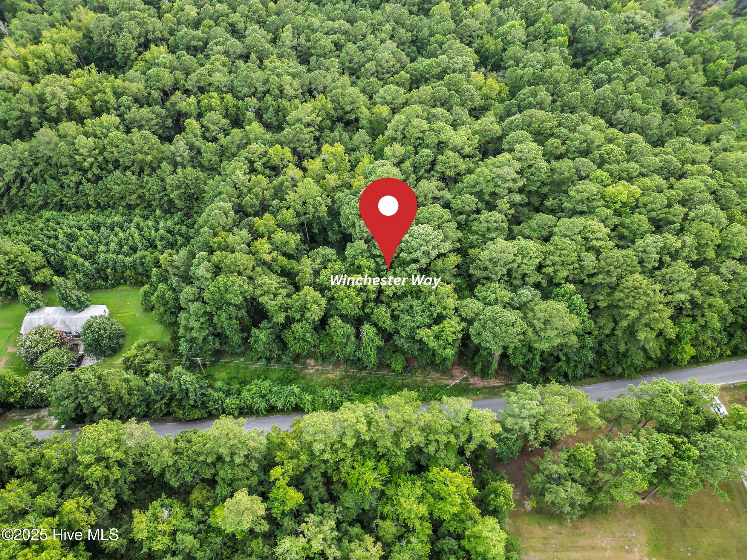 1 Winchester Way Merritt, NC 28556 - Photo 12 of 13 12_your paragraph text (4).png