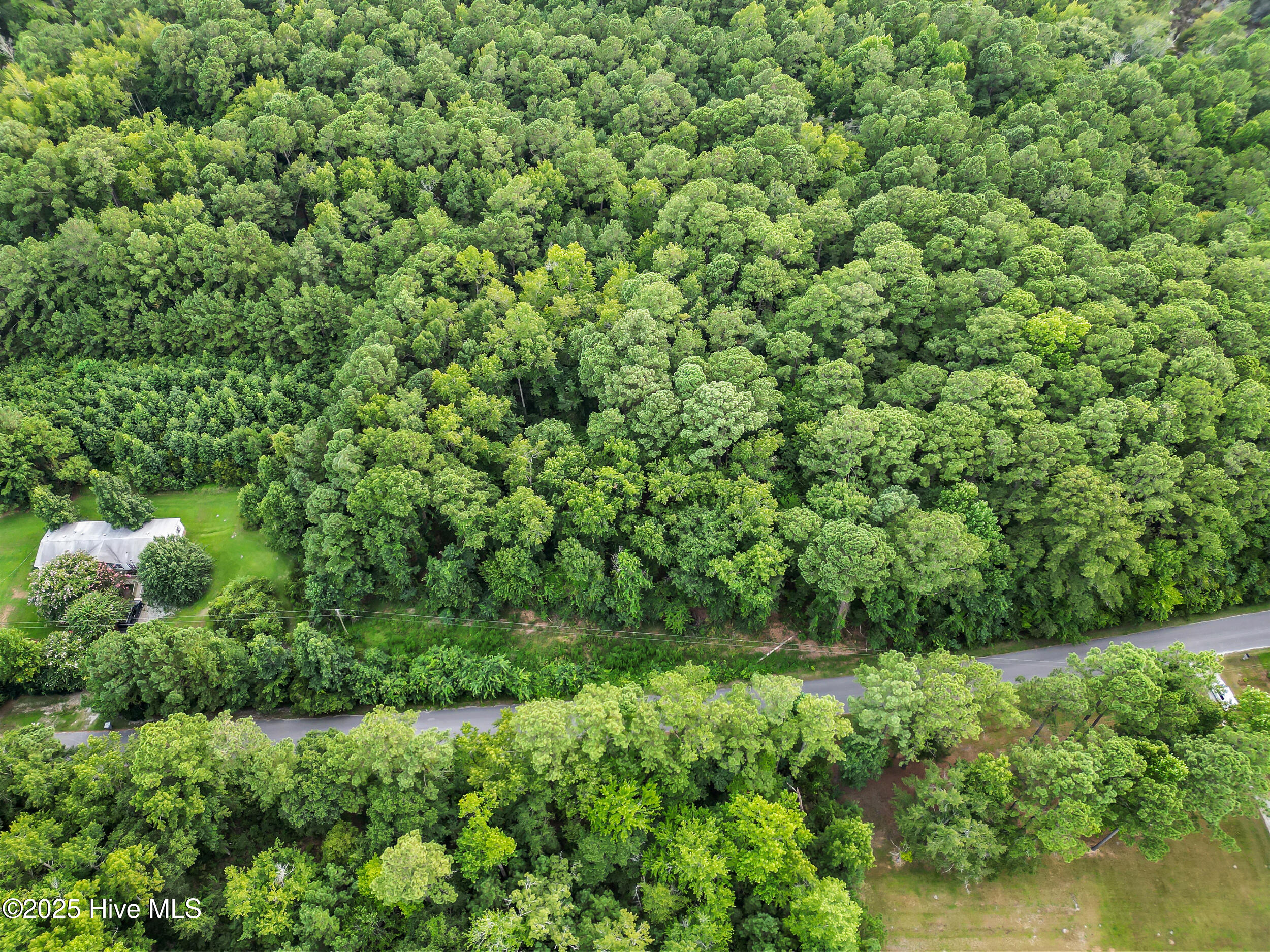 1 Winchester Way Merritt, NC 28556 - Photo 2 of 13 2_1 (5)