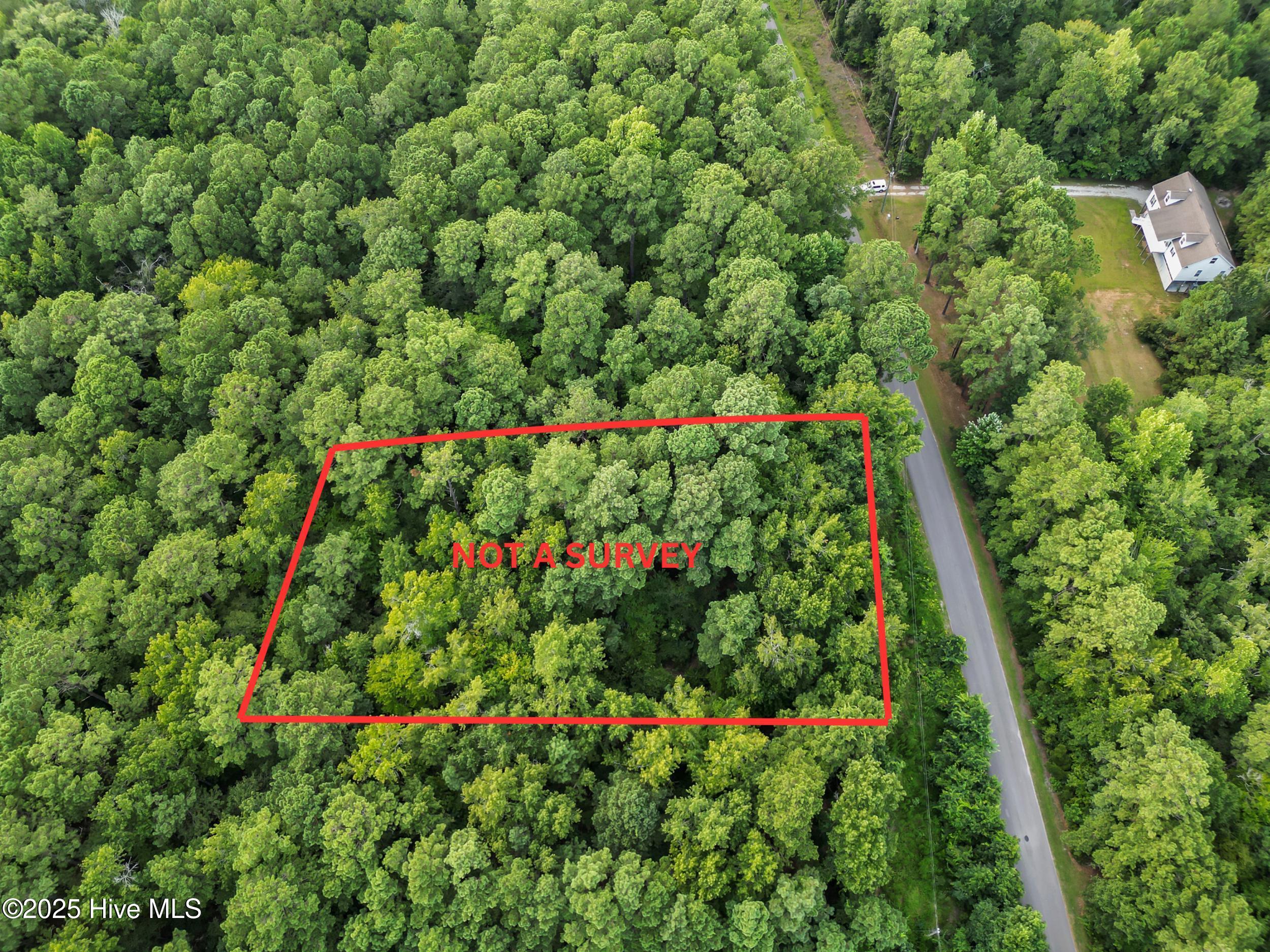 1 Winchester Way Merritt, NC 28556 - Photo 4 of 13 1_your paragraph text.png