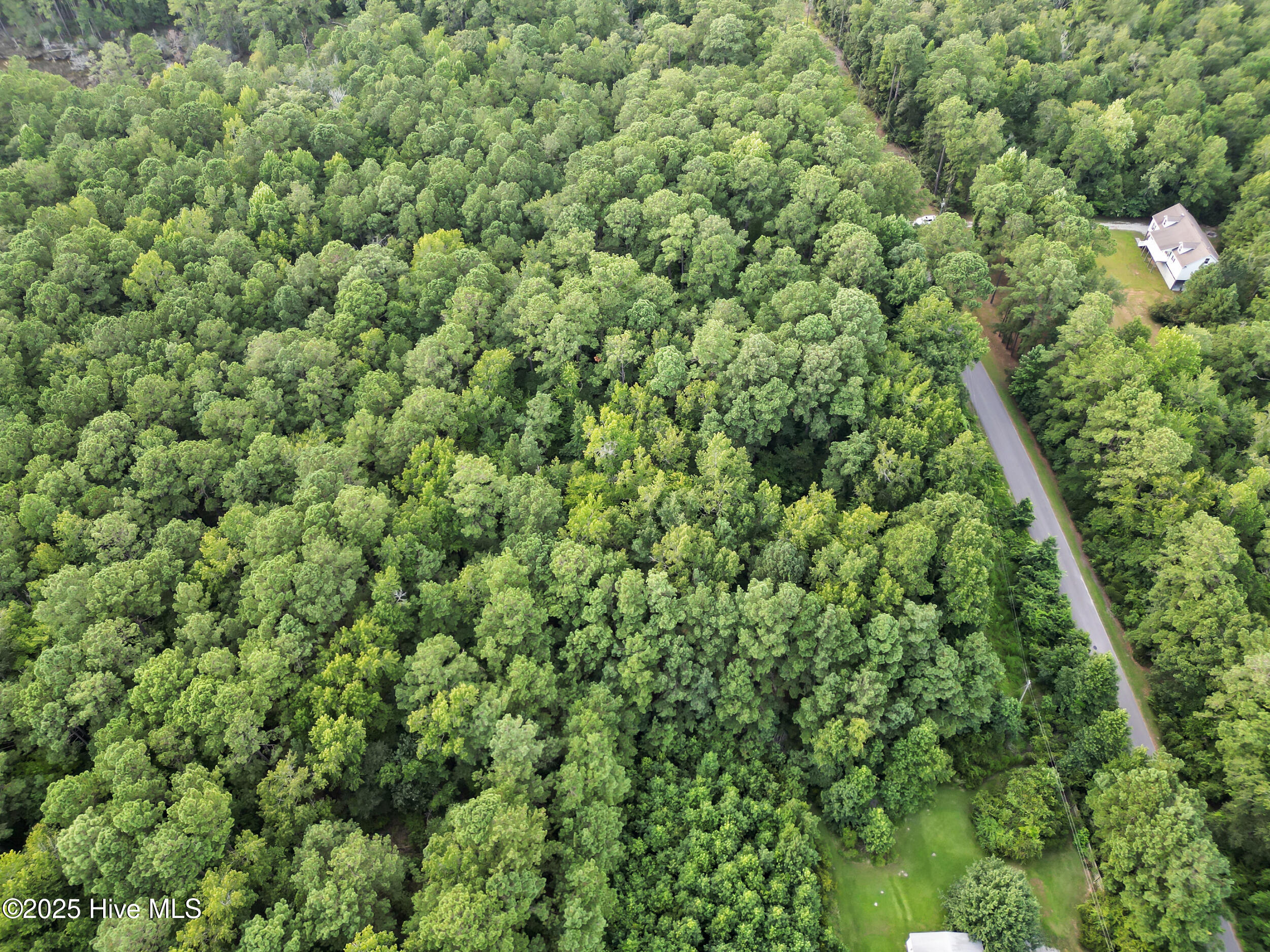 1 Winchester Way Merritt, NC 28556 - Photo 6 of 13 6_5 (5)