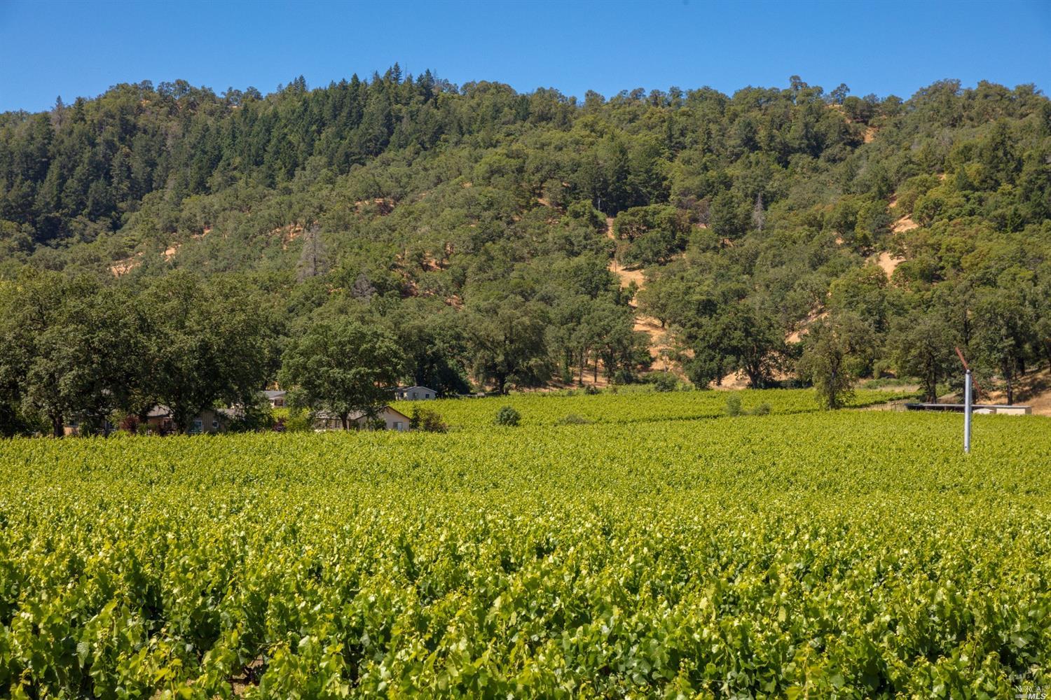 4016 Fracchia Road Ukiah, CA 95482 - Photo 1 of 1 Gallery Image 1
