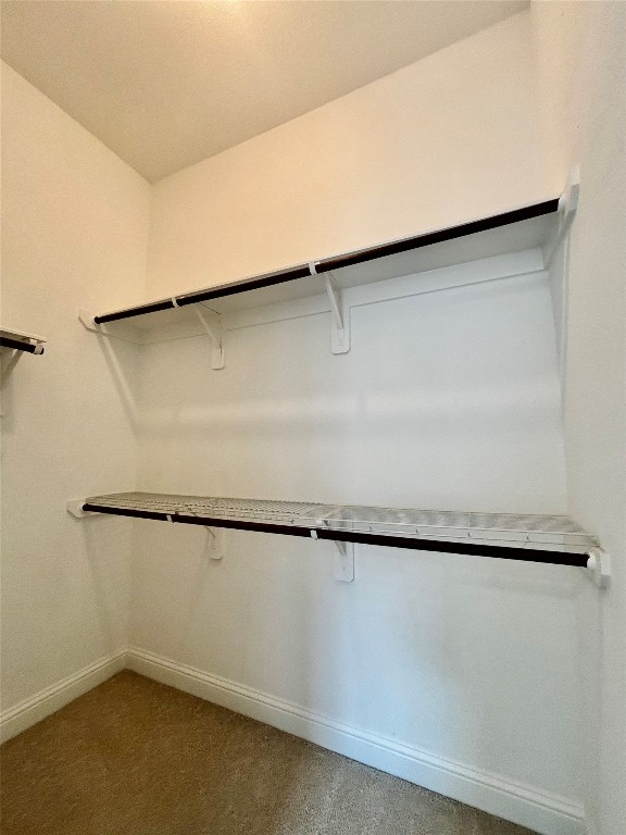 13326 Lake Chesdin Road Houston, TX 77044 - Photo 9 of 29 a close view of closet