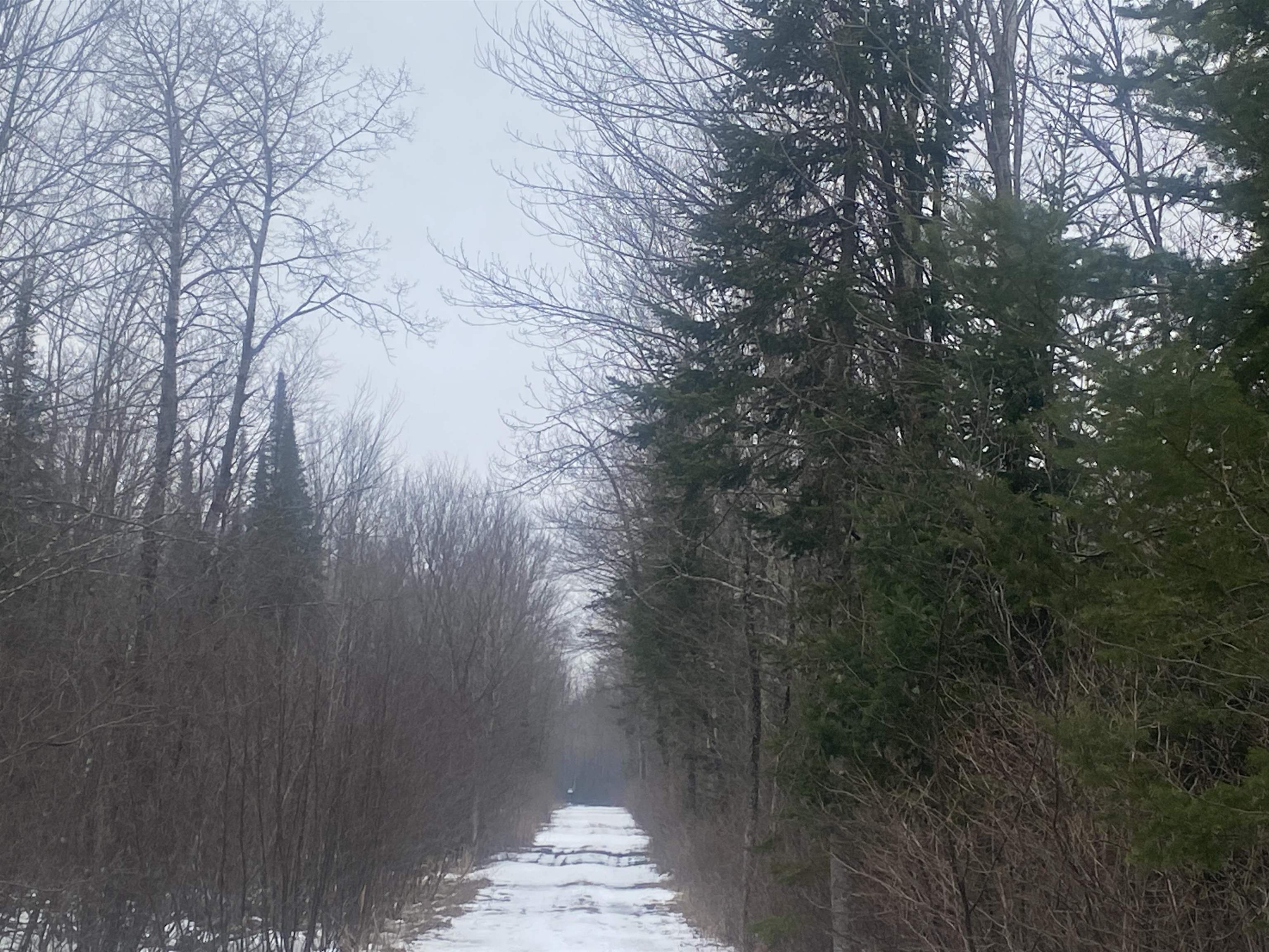 Near Spring Brook Avenue, Unit 8429 Merrill, WI 54452 - Photo 4 of 5