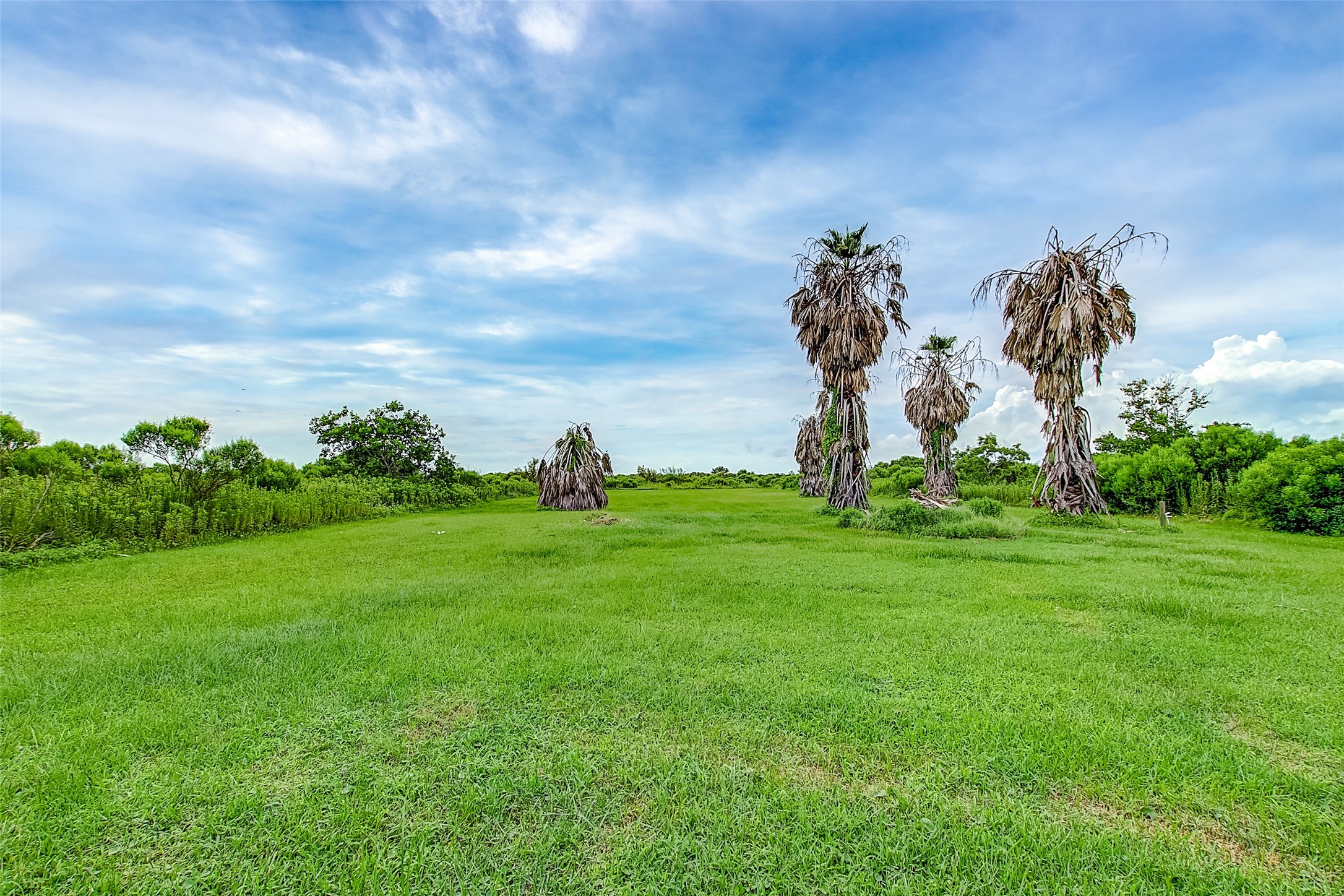 3253 State Highway 87 Crystal Beach, TX 77650 - Photo 19 of 29