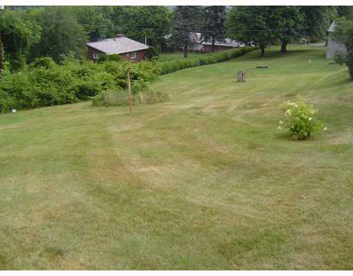 190 Hickory Grade Road Bridgeville, PA 15017 - Photo 10 of 12 Yard/Garden.